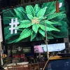 Nueva York aprueba la regulación del cannabis recreativo