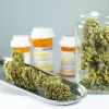 Pacientes italianos piden al ministro de Salud que mejore el acceso al cannabis medicinal