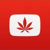 Youtube reduce las restricciones sobre el contenido de drogas