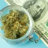 Illinois recauda más impuestos con la venta de cannabis que con el alcohol