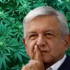 Lobbys de la industria del cannabis presionan al presidente mexicano para que regule 