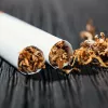 El Gobierno de EE UU valora reducir la concentración de nicotina en los cigarrillos