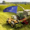 La Asociación Europea del Cáñamo Industrial reclama una normativa unificada para la UE