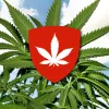 Comisión de Salud del Parlamento suizo aprueba un proyecto para regular el uso adulto del cannabis