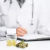 El cannabis mejoró la calidad de vida del 51% de los pacientes en el mayor estudio de Reino Unido