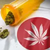 Japón prepara una regulación para el cannabis medicinal  