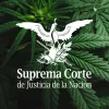 La Suprema Corte de México valora legalizar el cannabis desde el poder judicial