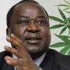 El ministro de Economía de Sudáfrica pide la regulación completa del cannabis