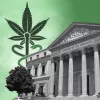 El Congreso vota mañana la creación de la subcomisión para el cannabis medicinal en España