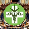 El Congreso de los Diputados aprueba estudiar una regulación del cannabis medicinal en España