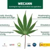 El Instituto Botánico de Barcelona programa un seminario sobre el cannabis