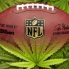 La NFL ofrece un millón de dólares para investigar con cannabis medicinal