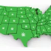 Hoy se presentará el borrador de una ley para regular el cannabis en EE UU