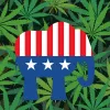 Legisladores republicanos presionan a Biden para que reduzca las restricciones sobre el cannabis