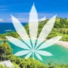 Trinidad y Tobago presenta el proyecto de regulación del cannabis medicinal e industrial