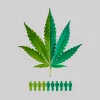 El 65% de los argentinos está a favor de regular el cannabis para adultos según una encuesta