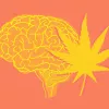 Reino Unido probará el cannabis contra el cáncer cerebral en un estudio inédito