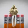 El Instituto Nacional de Drogas admite que la legalización en EE UU no ha aumentado el uso adolescente 