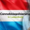 El Gobierno de Luxemburgo podría recular y no permitir la venta de cannabis para adultos