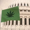 La ley para regular el cannabis en todo EE UU avanza en un comité del Congreso