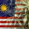 El Gobierno de Malasia estudia regular el cannabis medicinal
