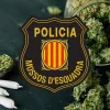 Los Mossos proponen legalizar el cannabis para acabar con la amenaza de las mafias y el mercado negro