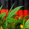 El futuro Gobierno de Alemania pacta la legalización del cannabis
