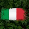 El debate sobre el cannabis en Italia divide a la coalición de Gobierno 