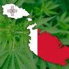 https://canamo.net/noticias/mundo/malta-anuncia-la-legalizacion-del-autocultivo-y-los-clubs-de-cannabis