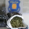 Detenidos cuatro Mossos d’Esquadra por revender material incautado para el cultivo de cannabis 