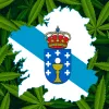 La Fundación Galega contra o Narcotráfico y el PP gallego apoyan la regulación medicinal del cannabis