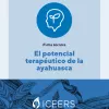 ICEERS publica un informe técnico sobre la ayahuasca que actualiza la información disponible