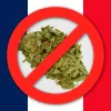 Francia prohíbe la venta y el consumo de cogollos de CBD