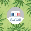 Un proyecto de legalización del cannabis llega hoy al Parlamento francés