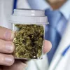 Polonia tramita una ley para legalizar la producción de cannabis medicinal