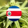El Congreso de Costa Rica aprueba la regulación del cannabis medicinal