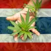 Tailandia quita el cannabis de su lista de sustancias prohibidas