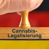 Estos son los primeros detalles de la futura legalización del cannabis en Alemania