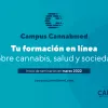 El Campus Cannabmed inaugura su segunda edición con nuevos cursos sobre cannabis 