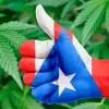 Un legislador puertorriqueño propone regular el uso adulto de cannabis