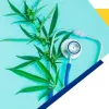 Arrancan las comparecencias de expertos en la subcomisión de cannabis medicinal