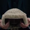 Un abogado británico fabrica pelucas de cáñamo como alternativa vegana a las de cola de caballo