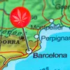 Barcelona es la primera ciudad europea en consumo de cannabis según un análisis de aguas residuales