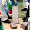 Cocaína oculta en el ácido sulfúrico de las baterías de un toro mecánico