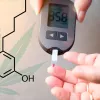Un cannabinoide podría reducir el desarrollo de la diabetes 