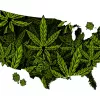 EE UU votará esta semana la legalización federal del cannabis