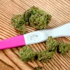Alabama propone que las mujeres demuestren que no están embarazadas para acceder al cannabis medicinal