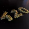 5 vídeos para celebrar el día de la marihuana y entender qué está pasando con la planta 