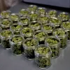 Nueva Jersey vende 2 millones de dólares en cannabis el primer día de ventas