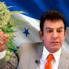 El vicepresidente de Honduras propone legalizar la producción de cannabis